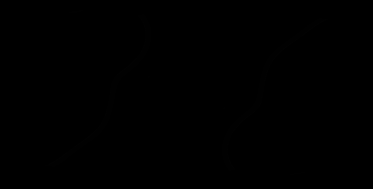 GILLES & GRACE Logo